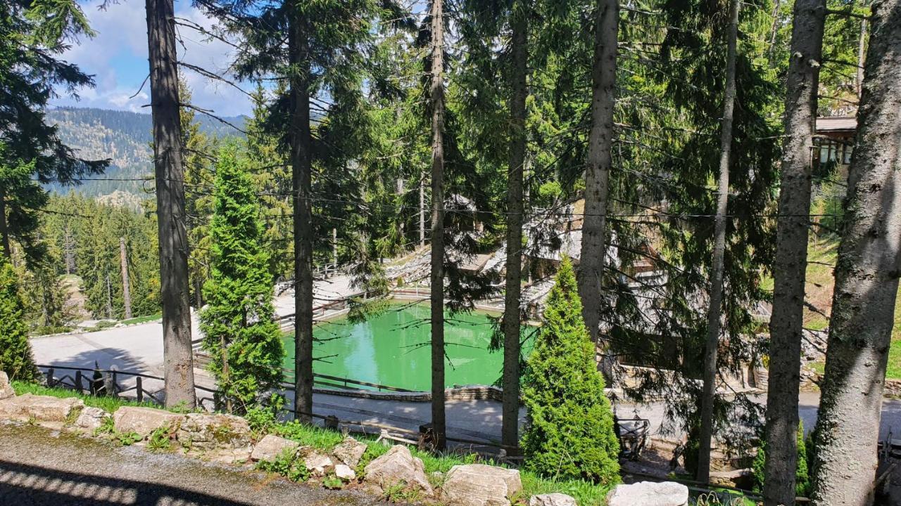 Eko-Fis Vlasic Luaran gambar